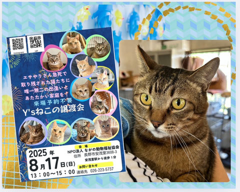 2025.08.22【譲渡会終了しました】