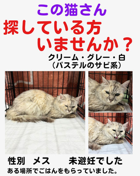 2025.08.01【お心当たりのある方いらっしゃいませんか？】