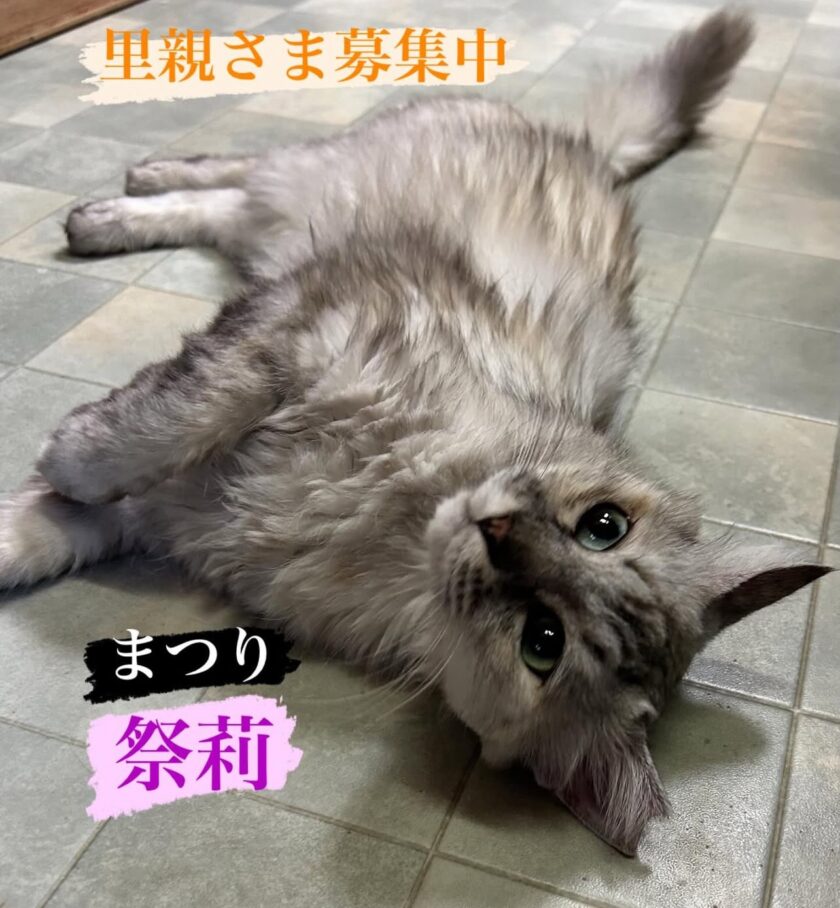 里親募集中