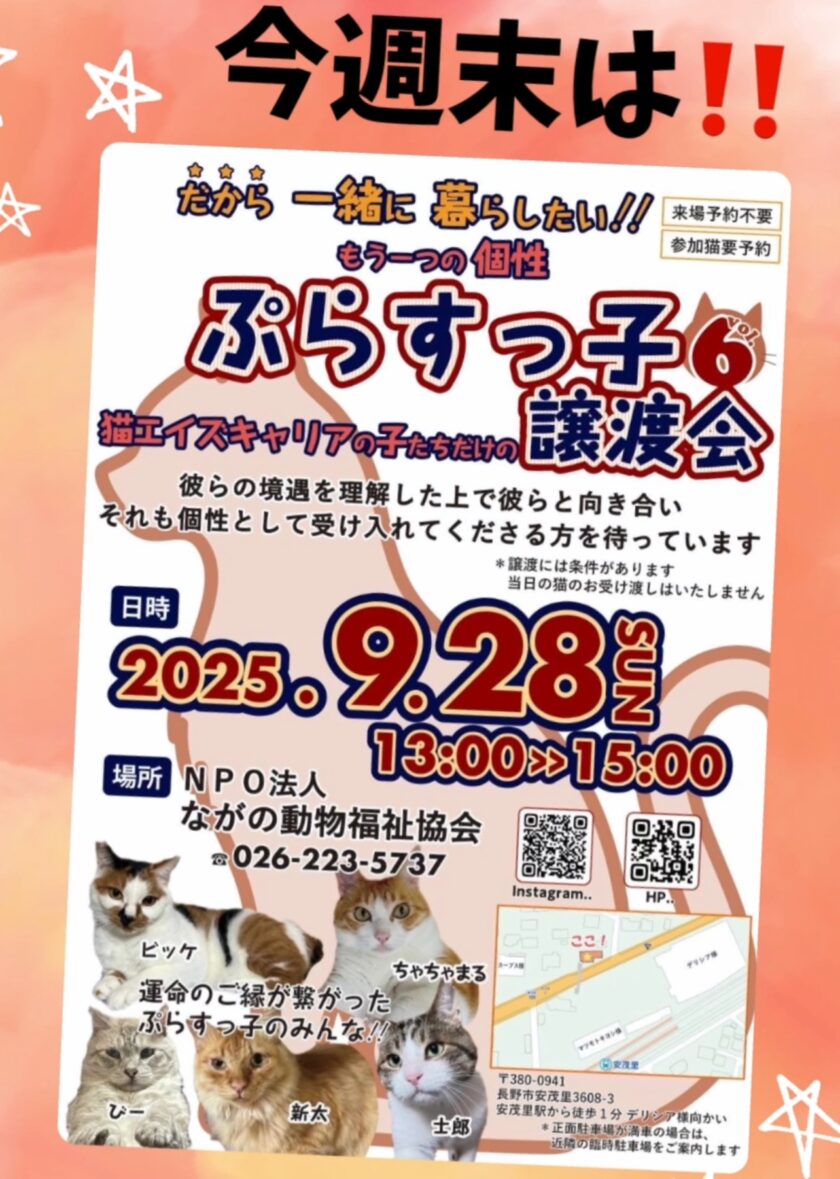 ９月28日はぷらすっ子譲渡会