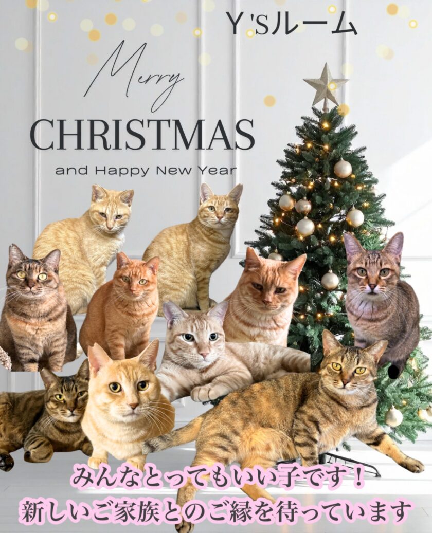 Ｙ’Sルームのみんな