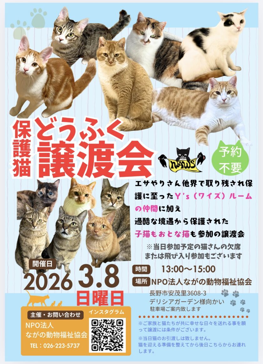 ３月も＂どうふく保護猫譲渡会＂開催💫