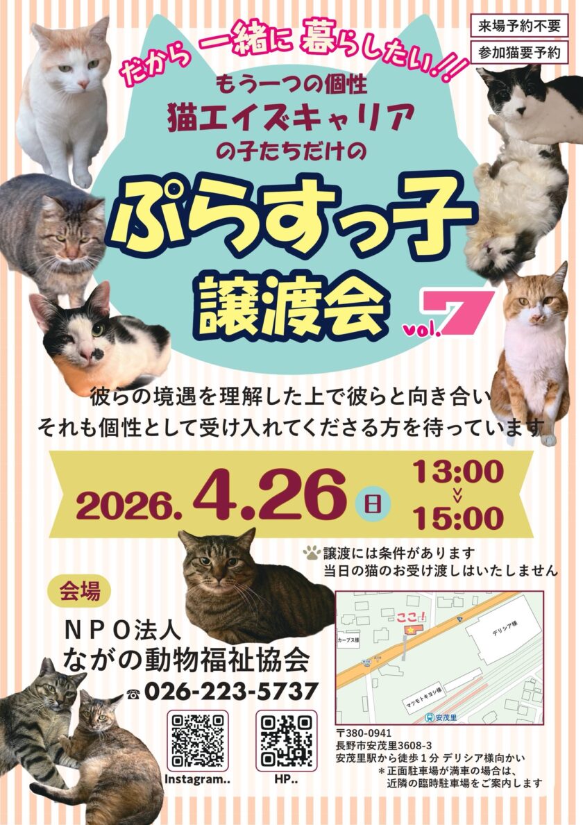 ぷらすっ子譲渡会開催致します！