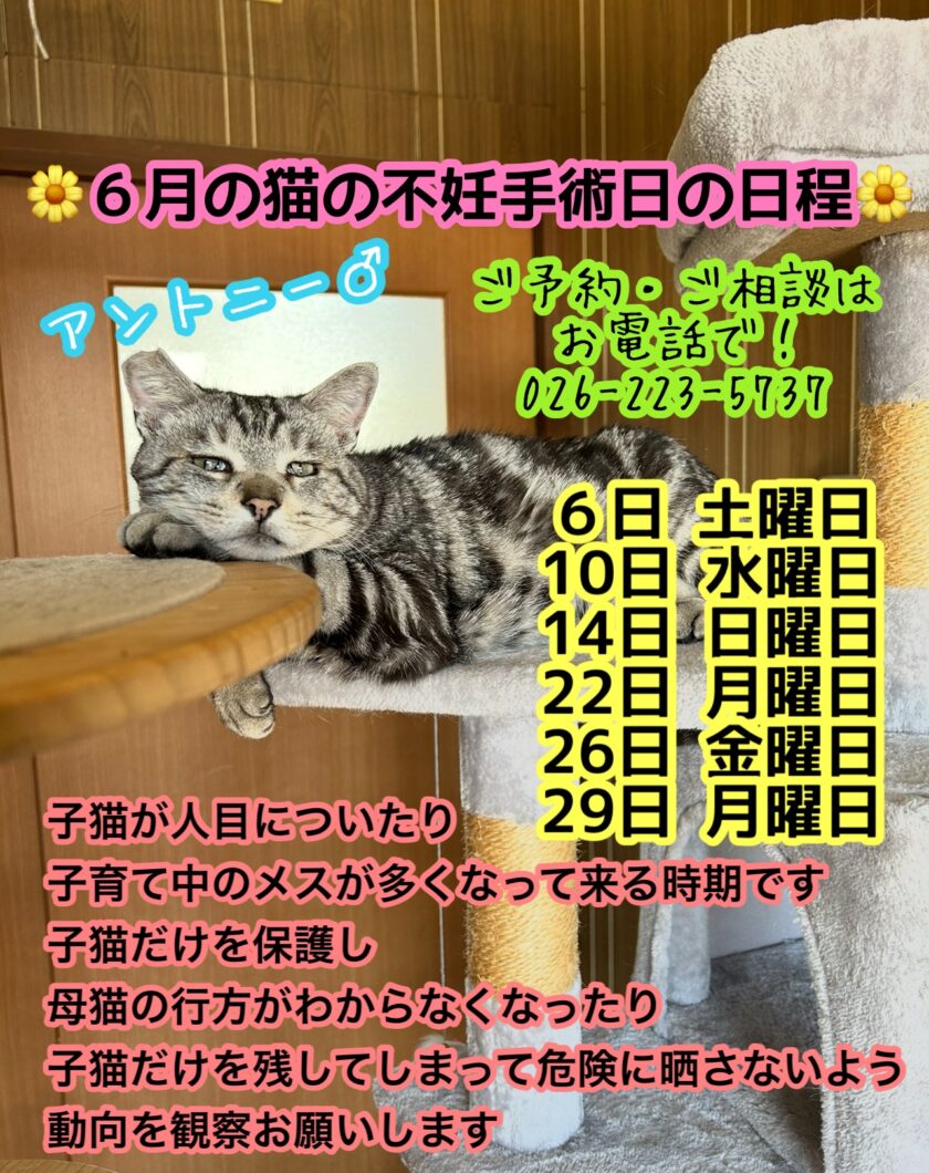 無題の投稿2822