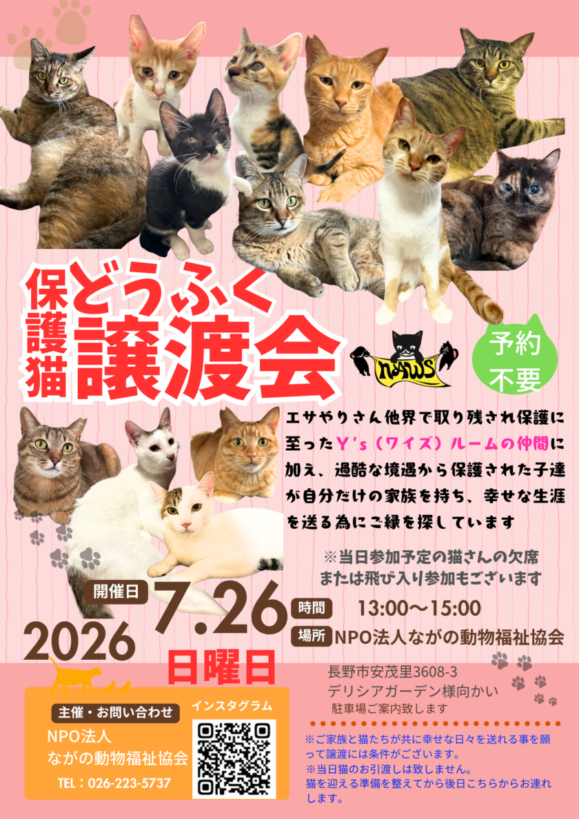 ７月＂どうふく保護猫譲渡会＂開催💫