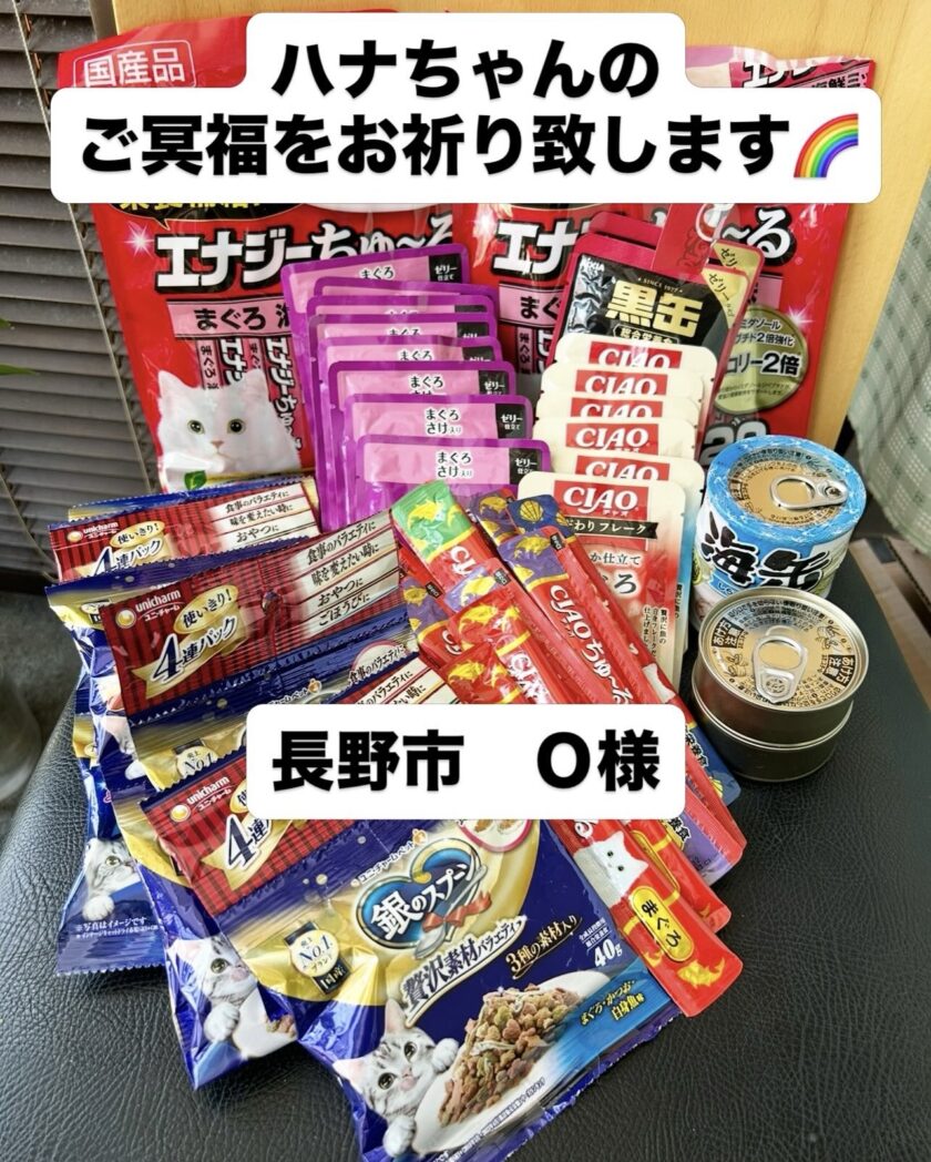 ご支援いただきました