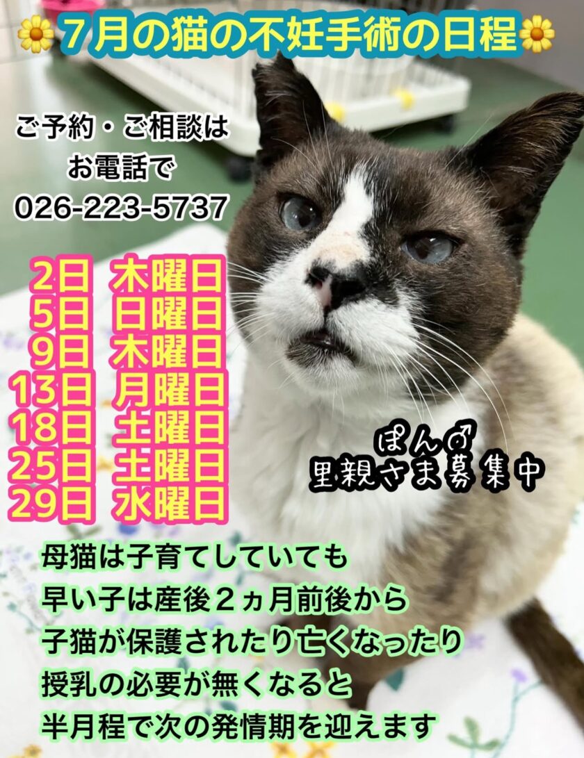 無題の投稿2856