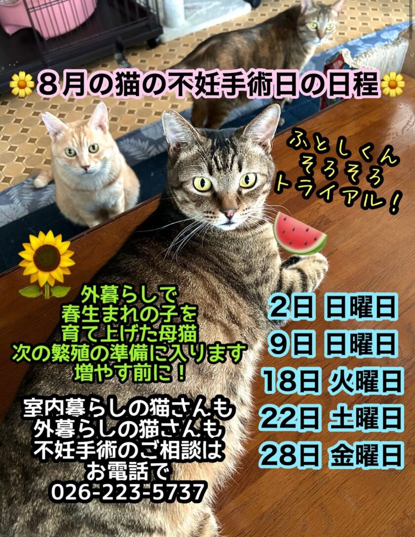 無題の投稿2878