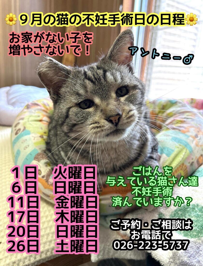 無題の投稿2881