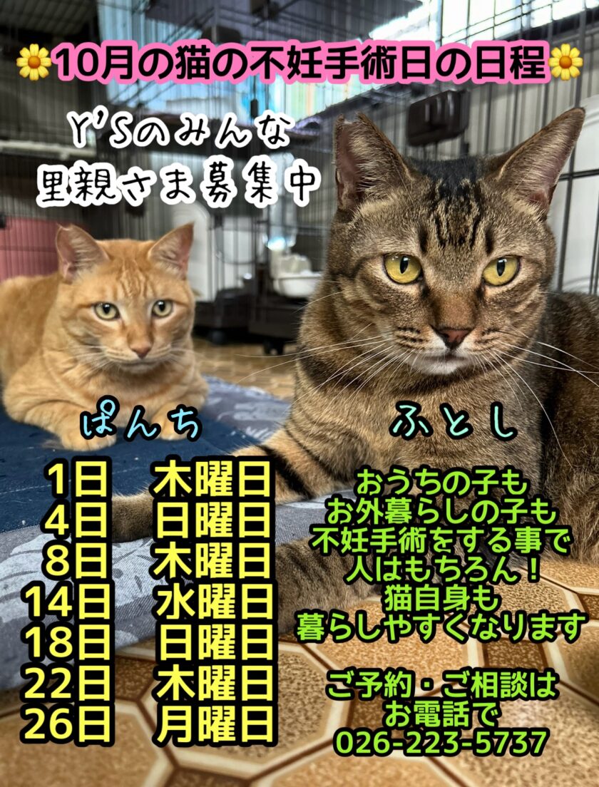 無題の投稿2891