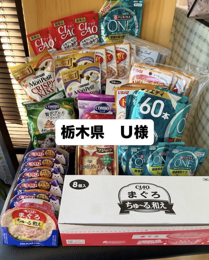 ご支援いただきました