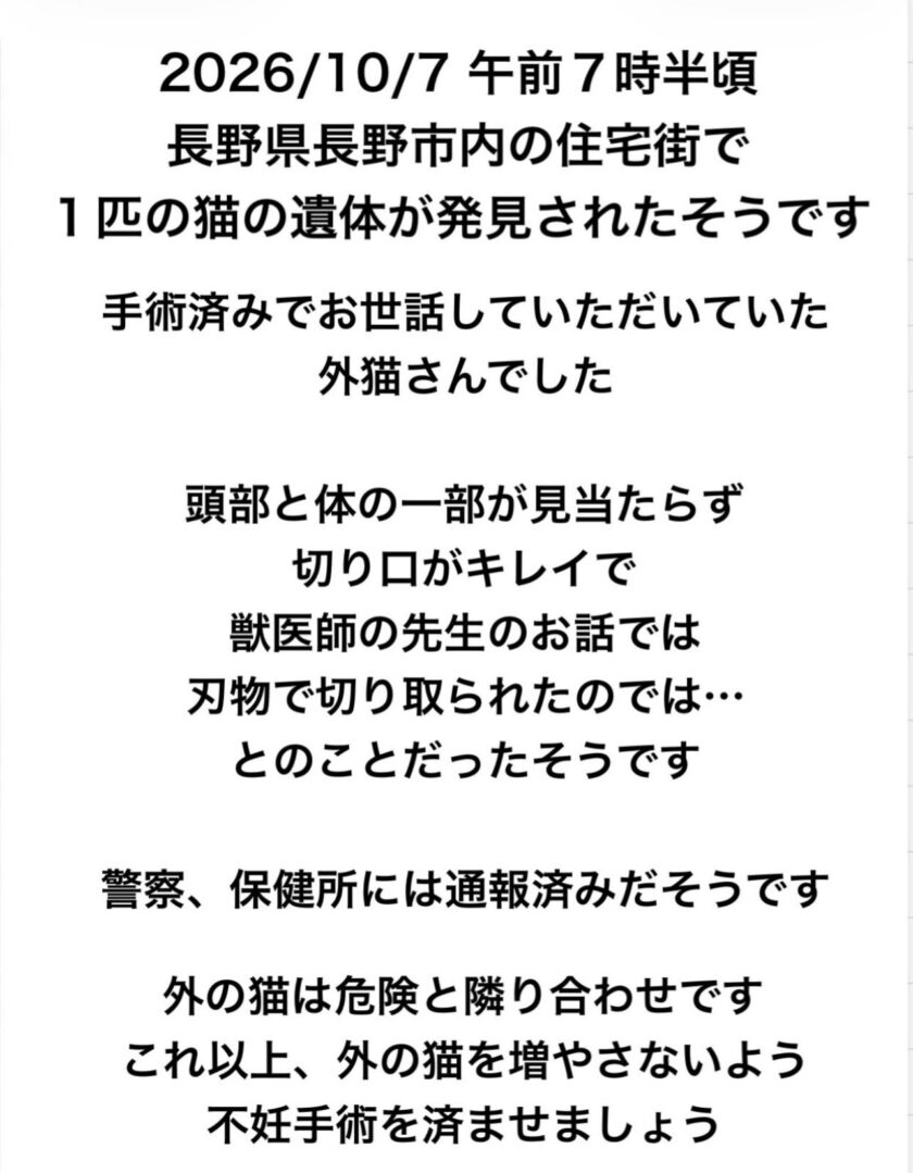 長野市内の住宅街で１匹の猫が変わり果てた姿で発見されました…