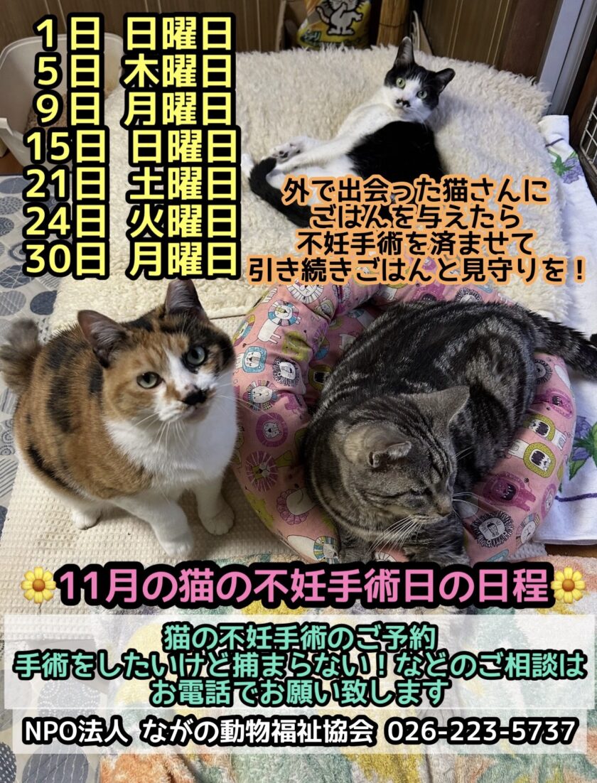 無題の投稿2915